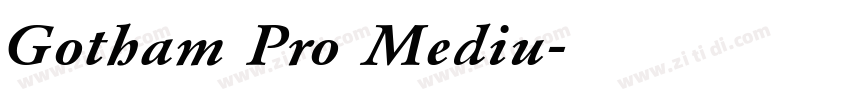 Gotham Pro Mediu字体转换
